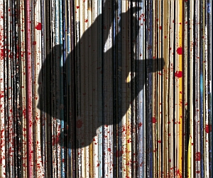 vinylia250