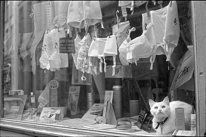 Katze zwischen Mieder Lille 1968 Henri Cartier Bresson